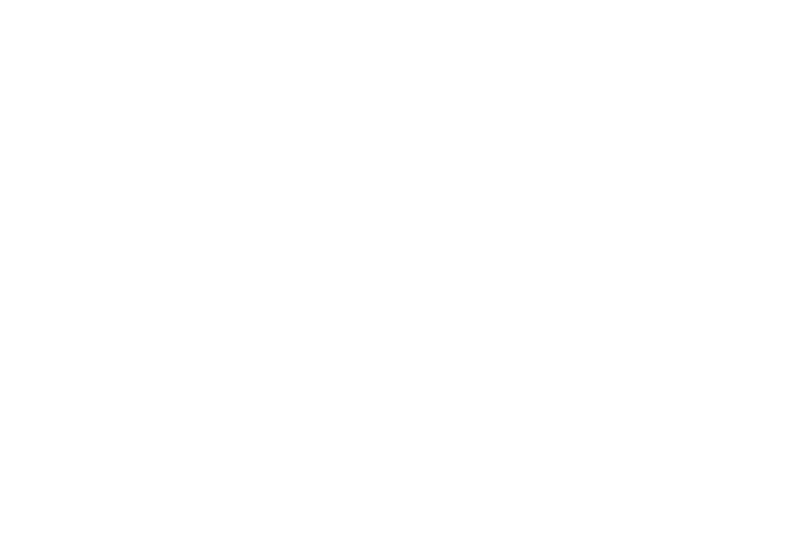 Item 1